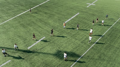 ما هي الأندية التي لعب فيها إبراهيموفيتش؟