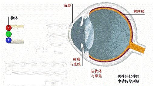 滤纸能透过什么