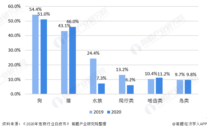 宠物食品行业现状深度解析